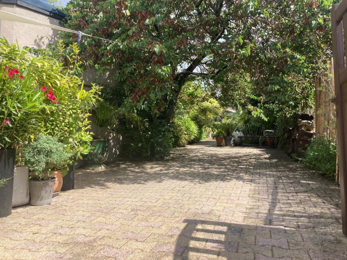 Maisonnette Studio Arcachon 300M Plage Екстер'єр фото